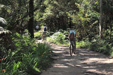 Image of Campos Do Jordao